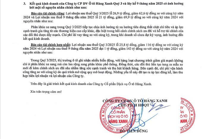 CTCP Dịch vụ Ô tô Hàng Xanh báo cáo tài chính.