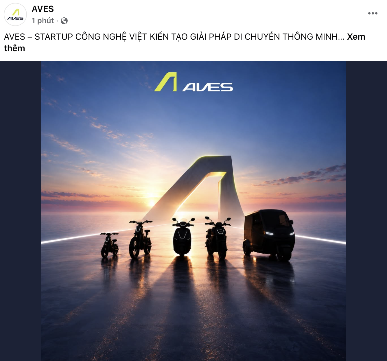 Các dòng sản phẩm xe điện của AVES. Nguồn AVES